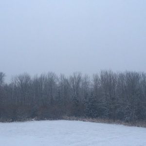 Meet your Posher, Mindy